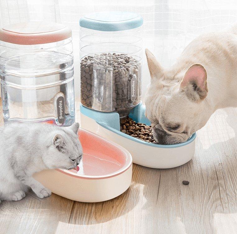 Smart Auto Feeder & Water Fountain